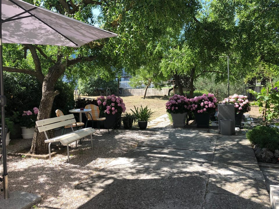 Garden, Seating area, Garden view