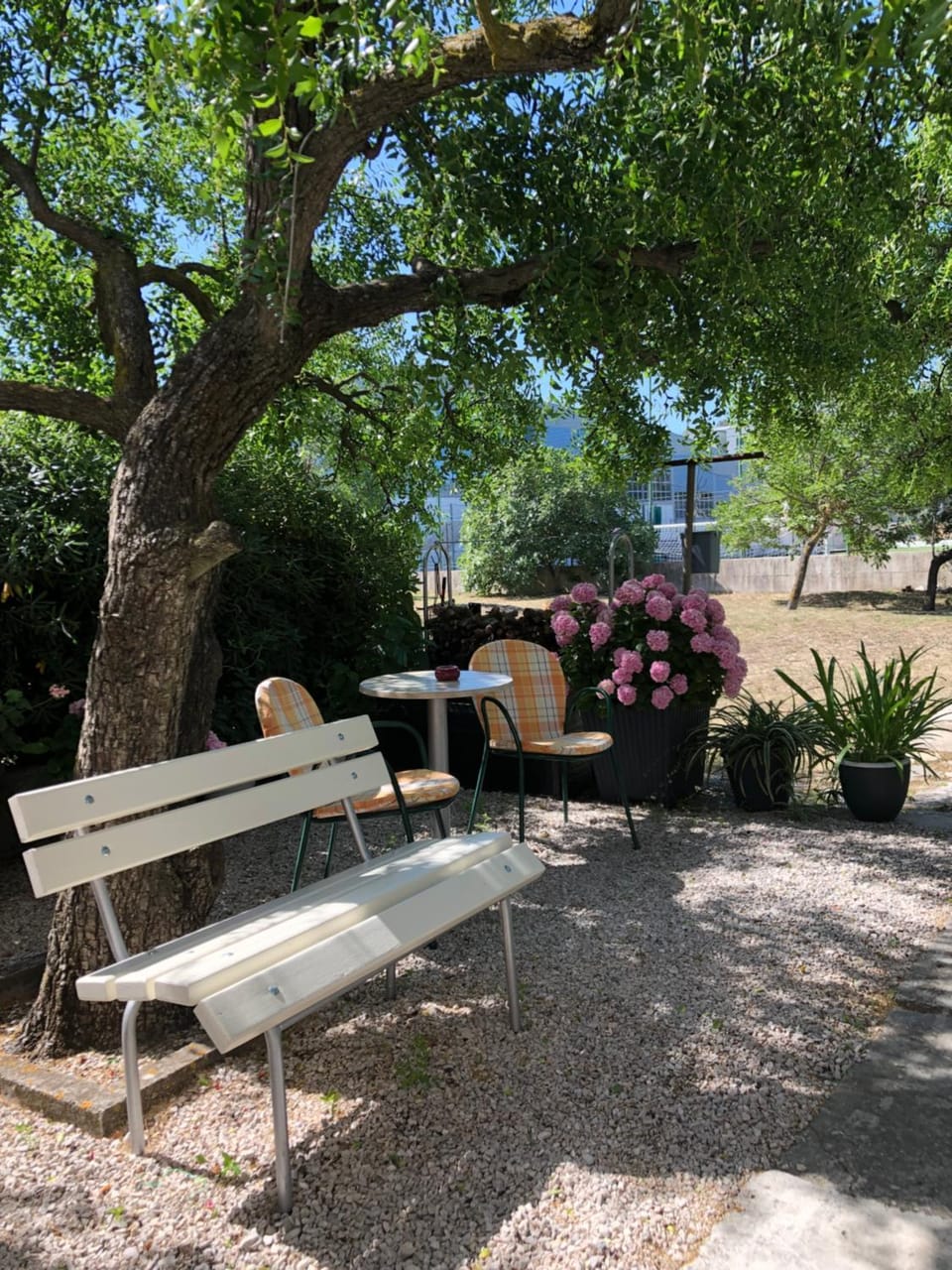 Garden, Seating area, Garden view