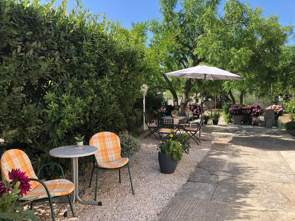 Garden, Seating area, Dining area, Garden view