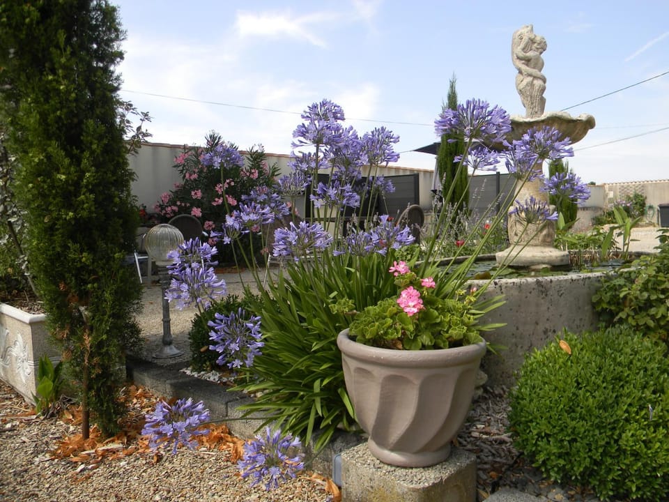 Patio, Garden