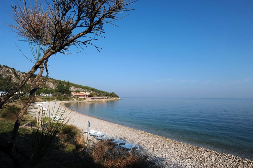 Beach, Area and facilities