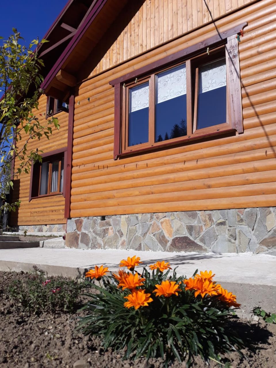 Emiliya Nature lodge in Ukraine