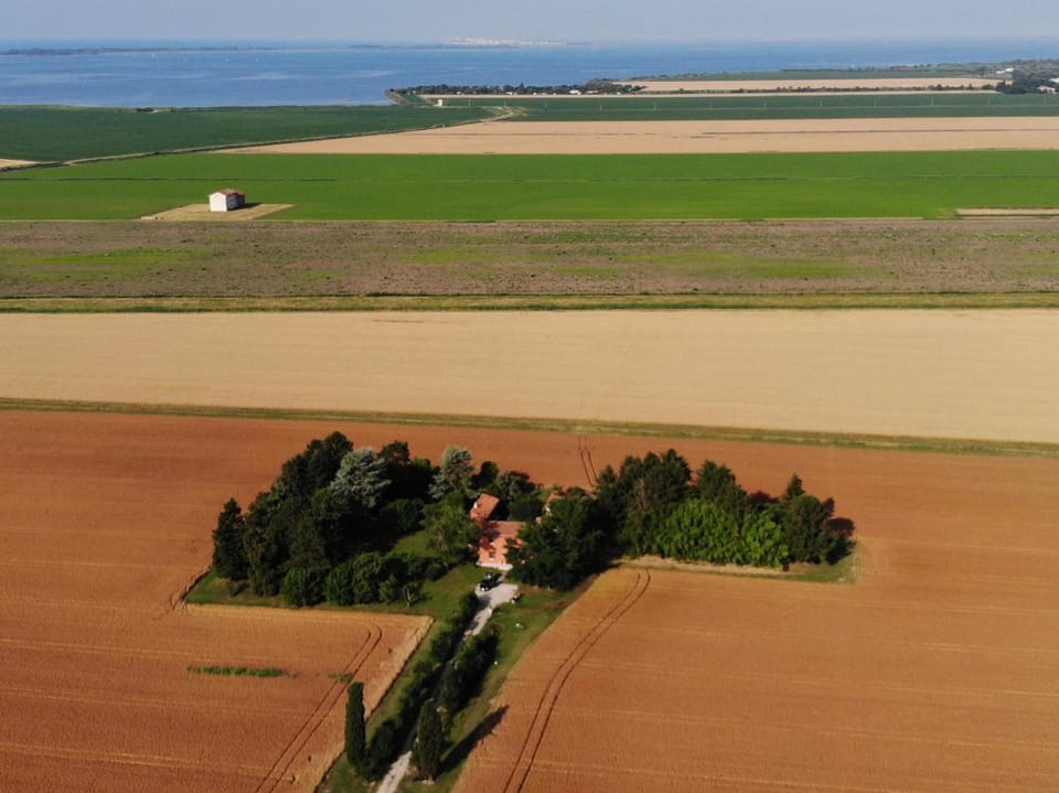 Spring, Day, Bird's eye view, Garden view, Sea view