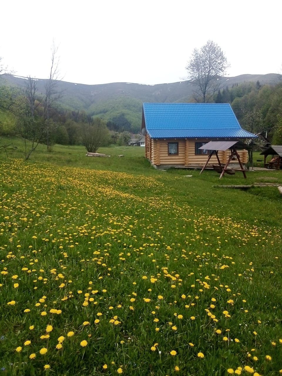 Spring