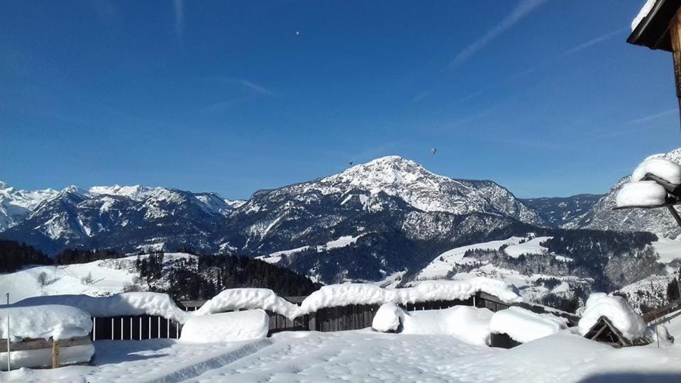 Schirfhof Farm Stay in Salzburgerland
