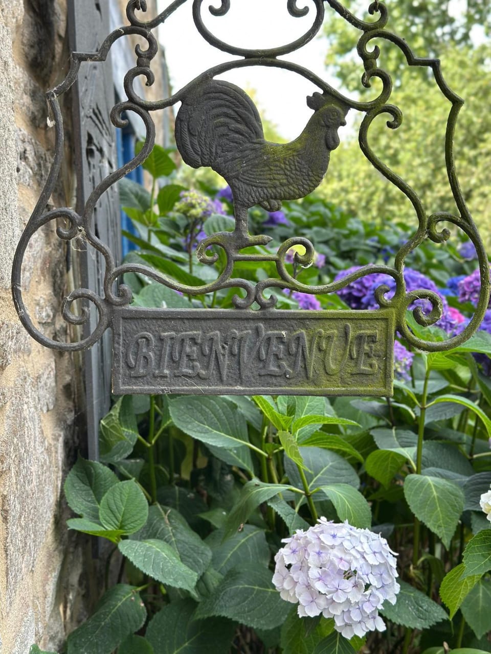 Garden view