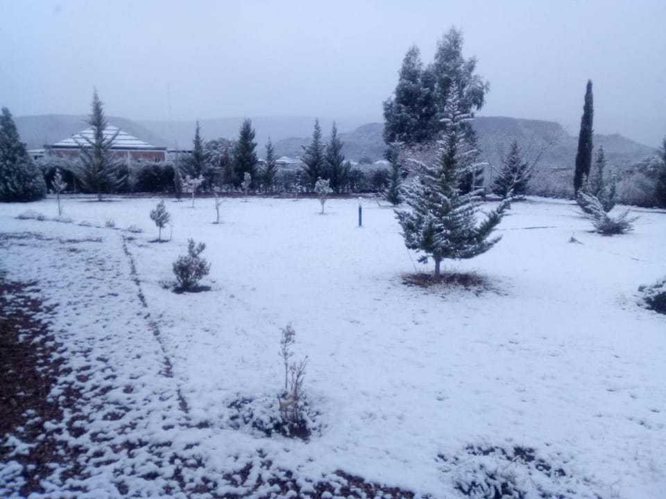 Garden, On site, Garden view