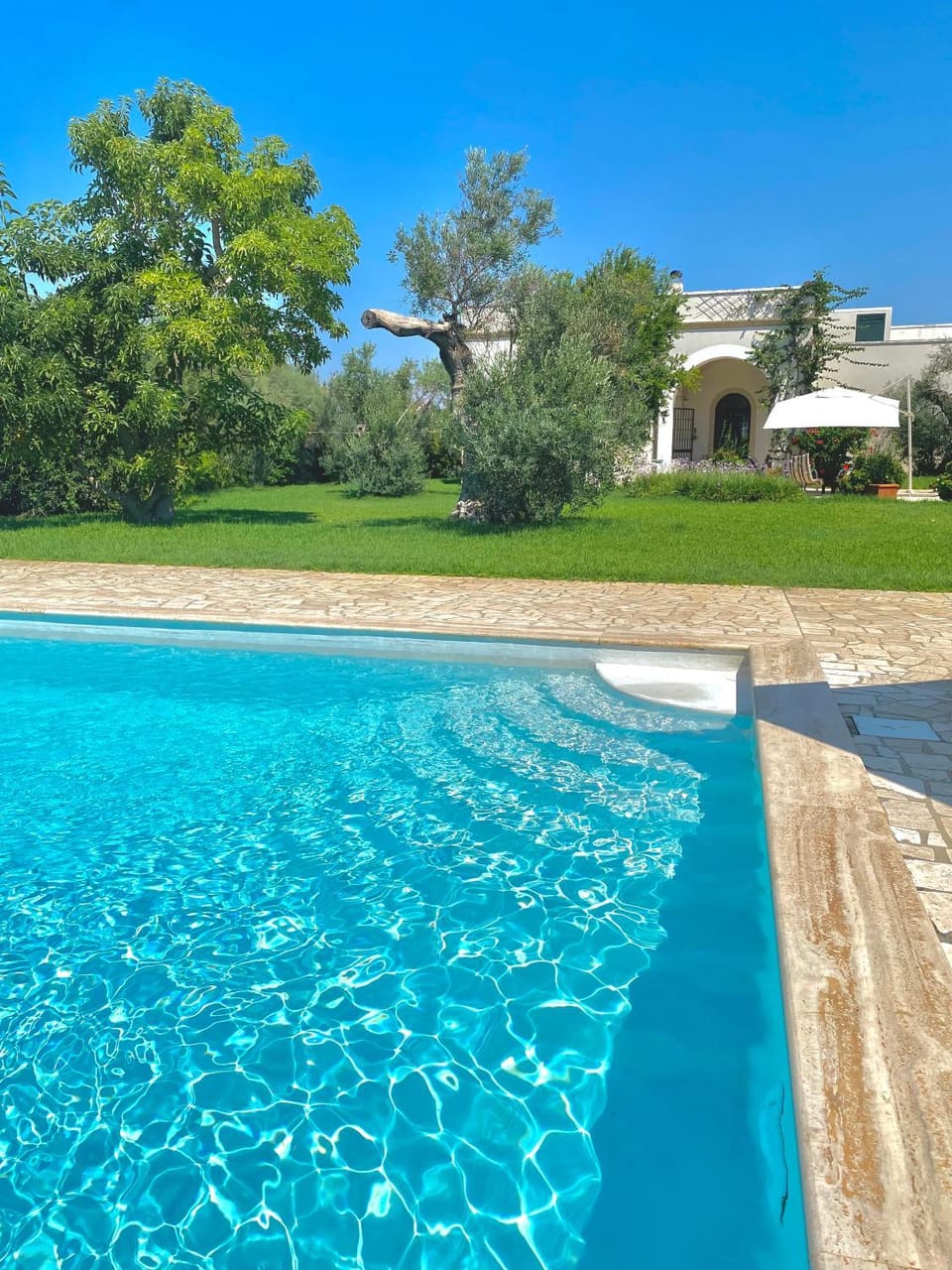 Garden view, Swimming pool