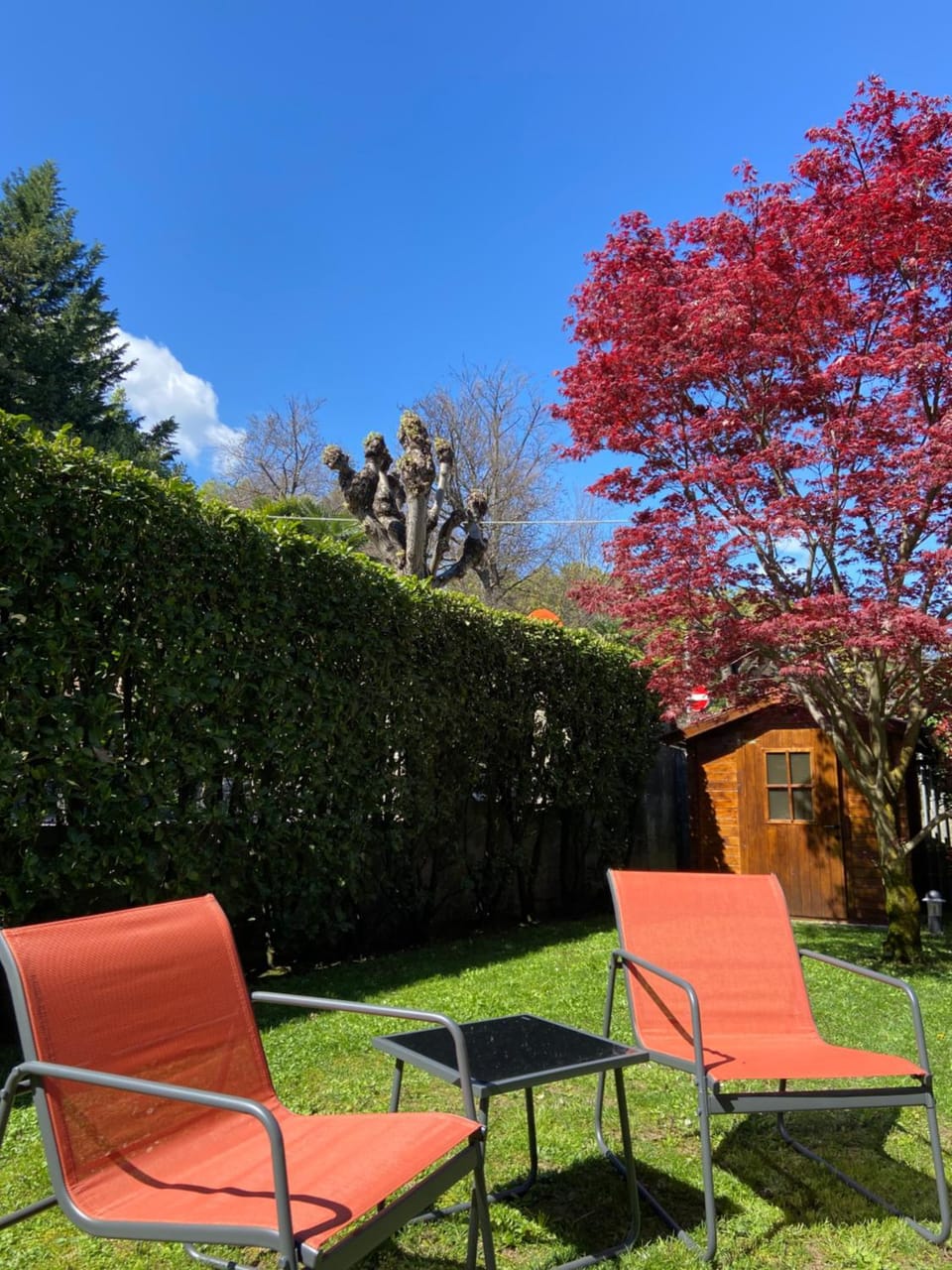 Appartamento rosada Apartment in Stresa