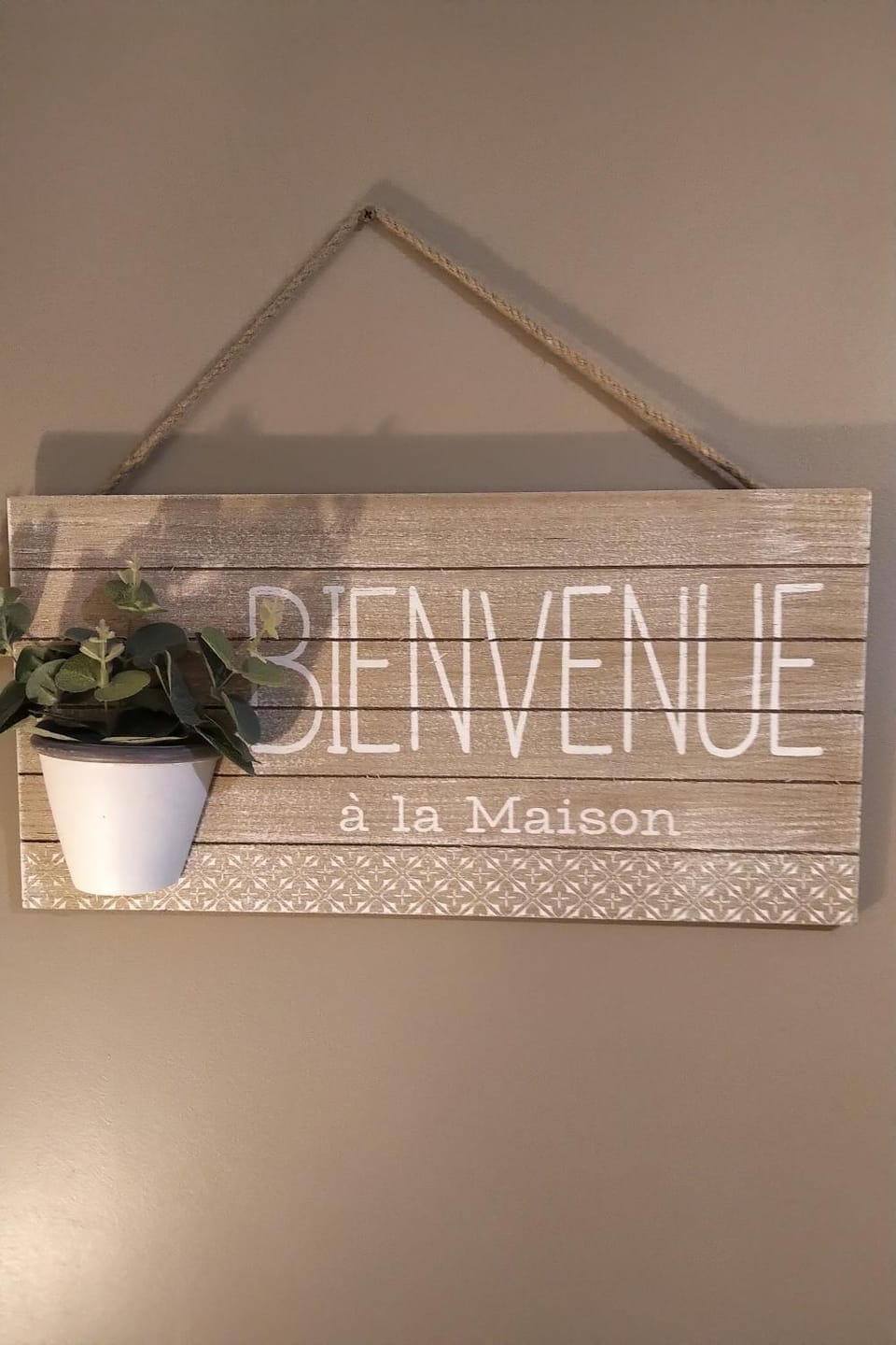 Photo of the whole room, Decorative detail, internet, pet friendly