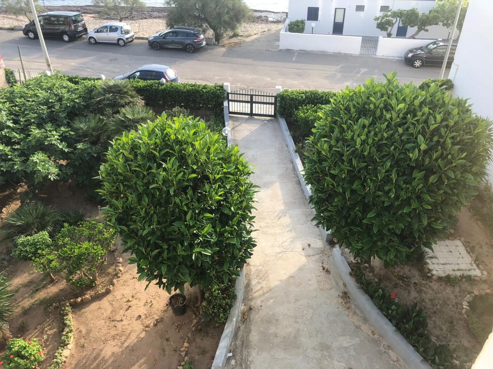 Garden view, Sea view, Street view