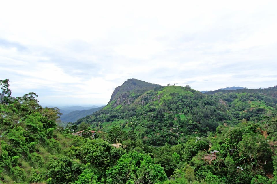 Mountain view