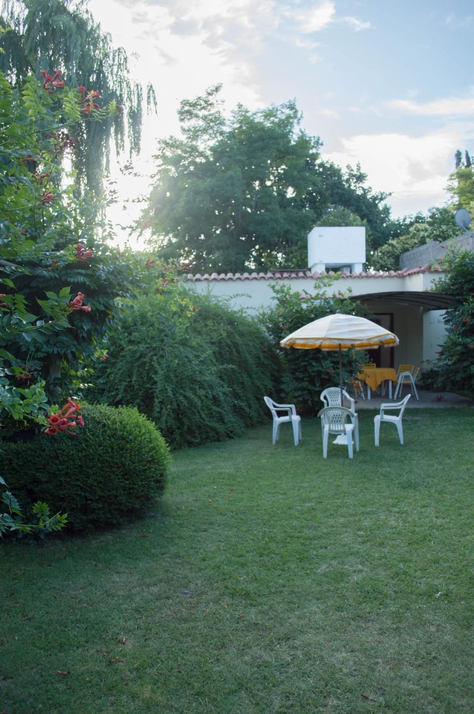 Patio, Garden
