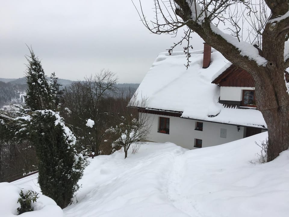 Winter