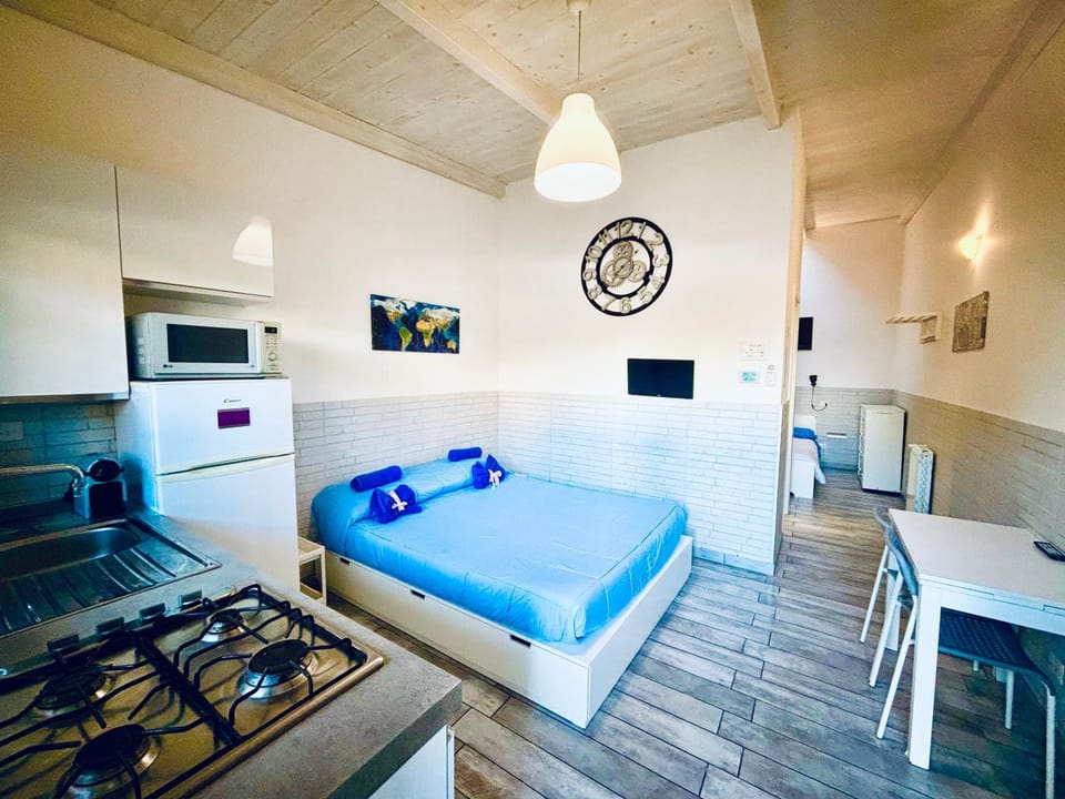 Bed, TV and multimedia, Kitchen or kitchenette, Living room, Photo of the whole room, Seating area, Dining area