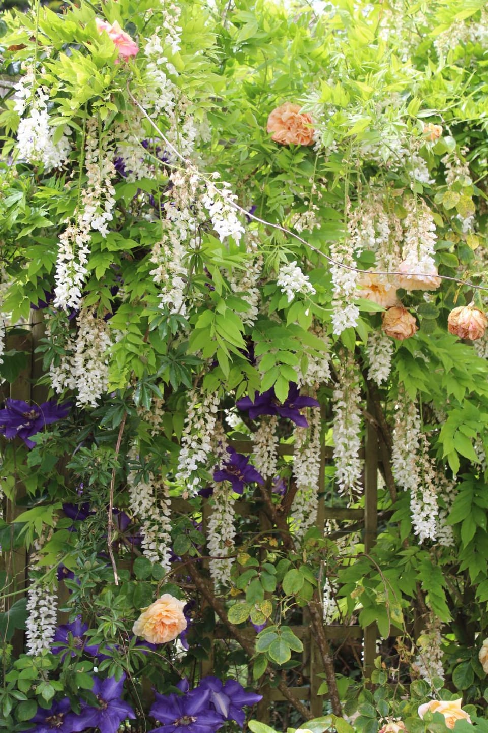 Gite Kergroix en Carnac House in Carnac