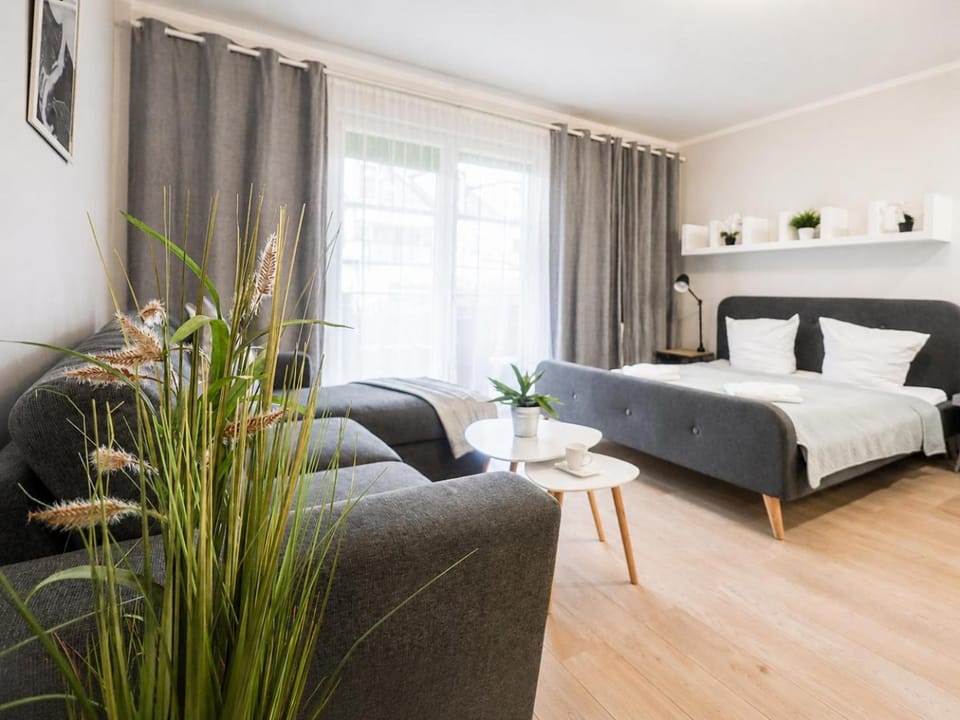Bed, Living room, Photo of the whole room, Seating area