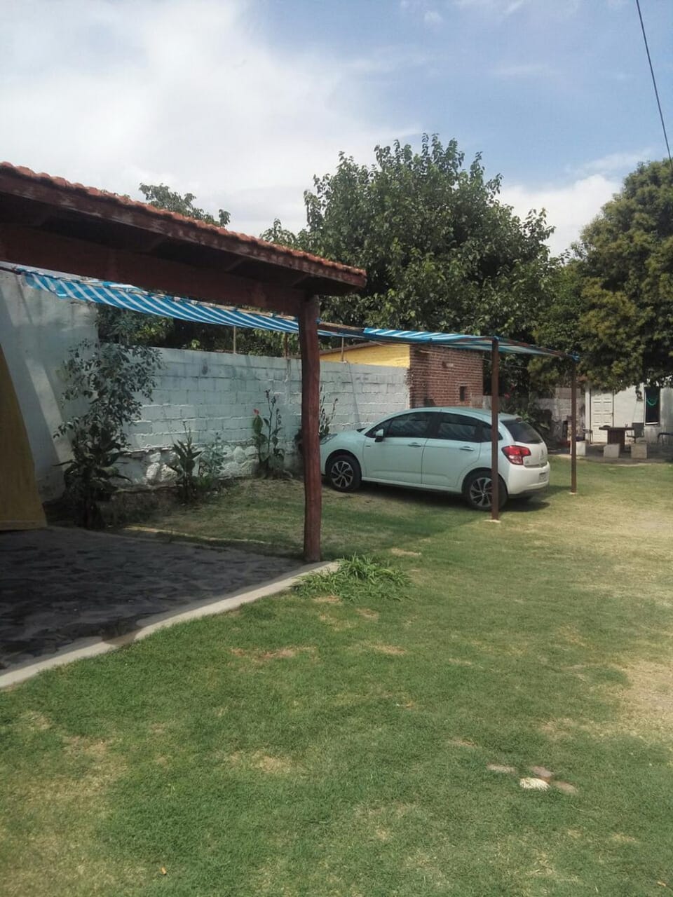 Patio, Garden