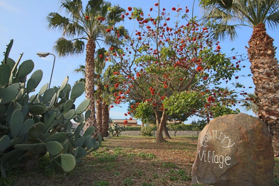 Natural landscape, View (from property/room)