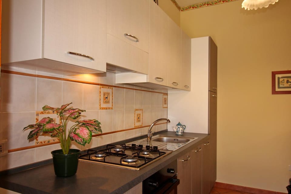 Kitchen or kitchenette, pet friendly, stove