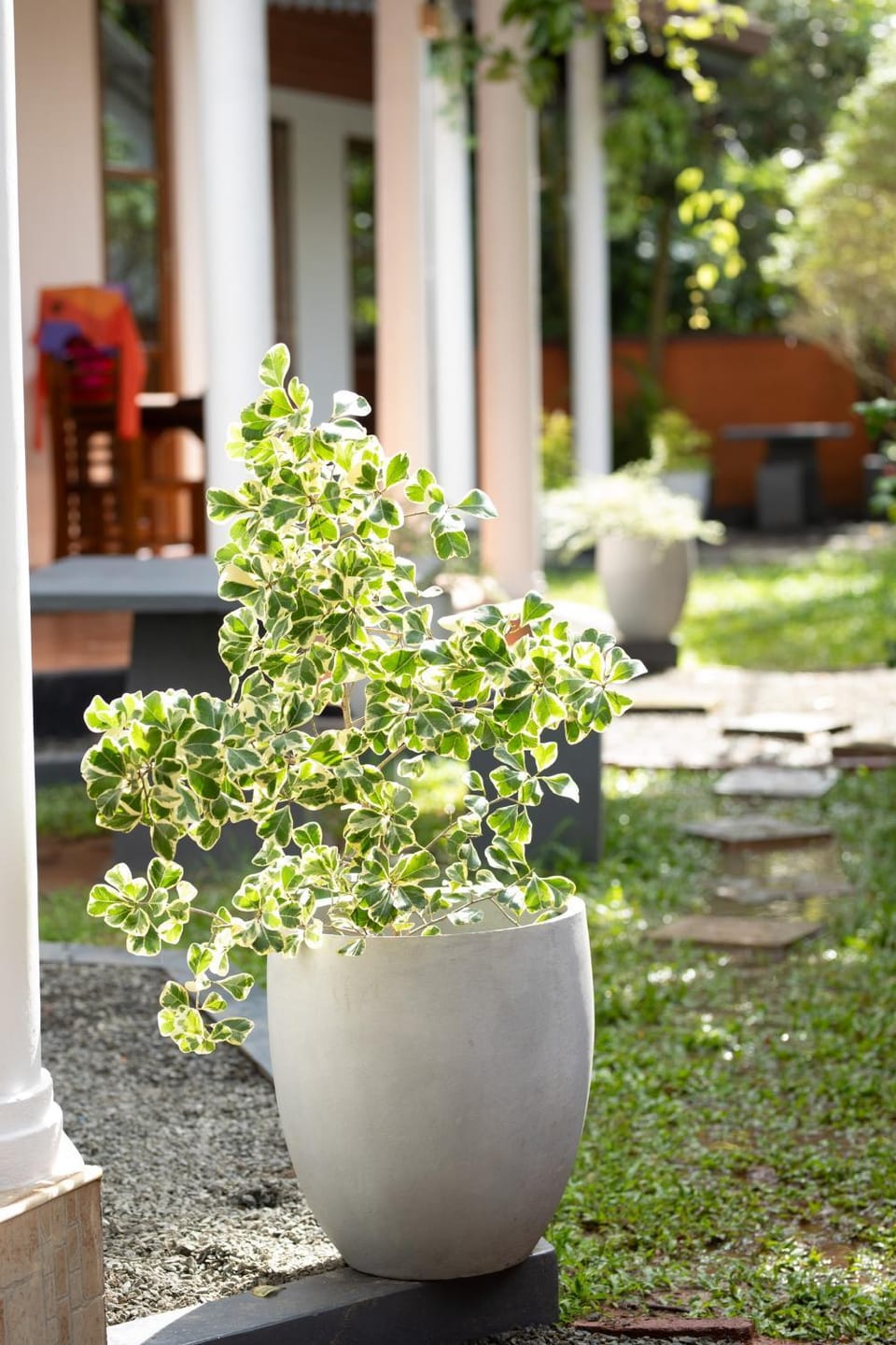 Rovenluck Eco Cabana Villa in Southern Province