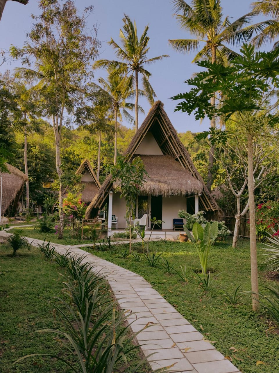 Property building, Garden, Garden view
