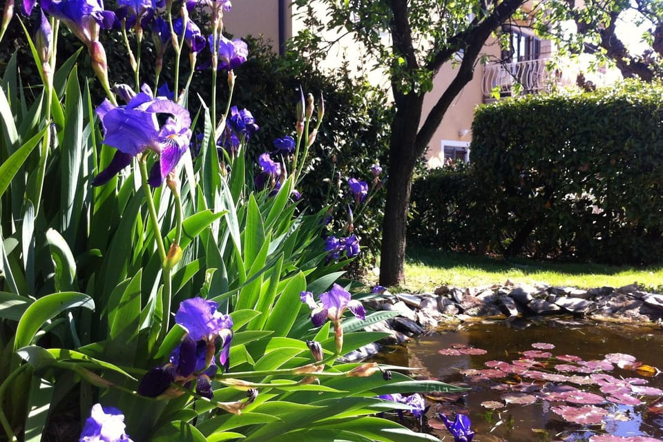 Location, children, Family