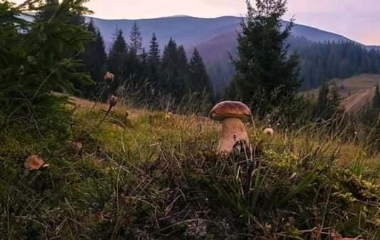Kreitser Inn in Romania