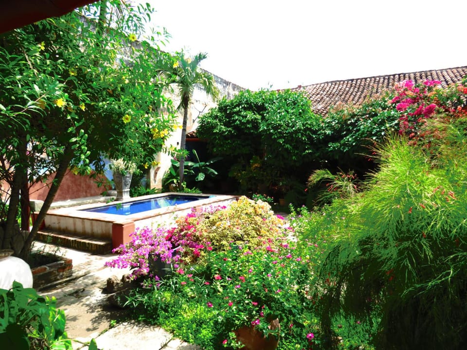 Garden, Garden view, Swimming pool