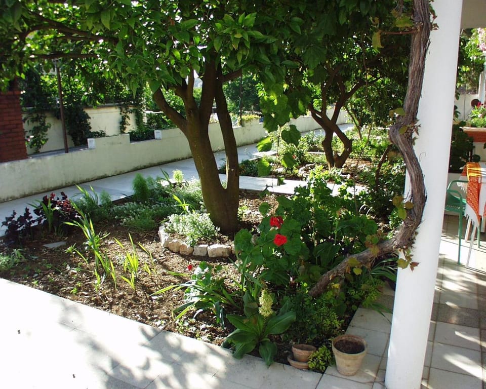 Location, children, Family