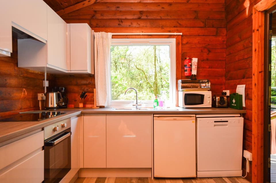 Kitchen or kitchenette, kitchen