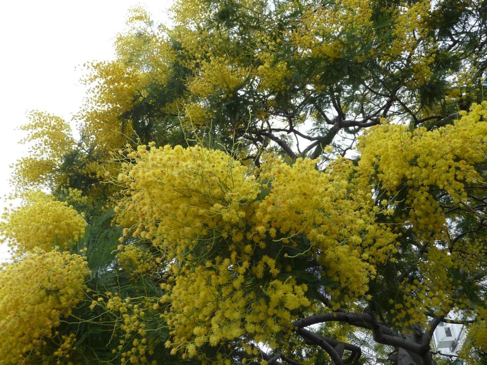 Natural landscape