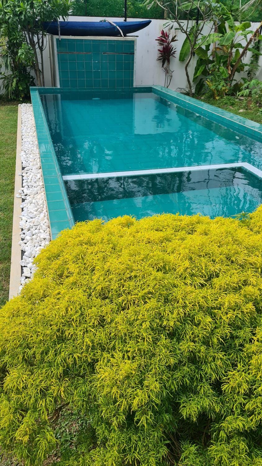 Day, Garden, Garden view, Pool view, Swimming pool