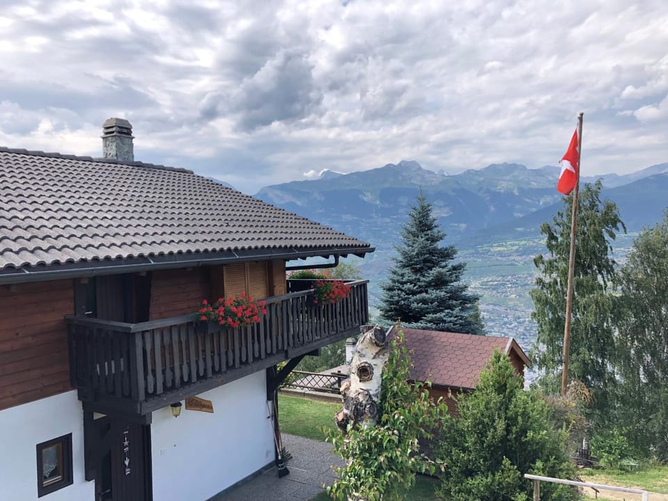 Mountain view