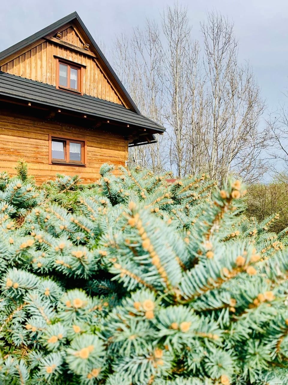 Chata nad Briežkami Nature lodge in Slovakia