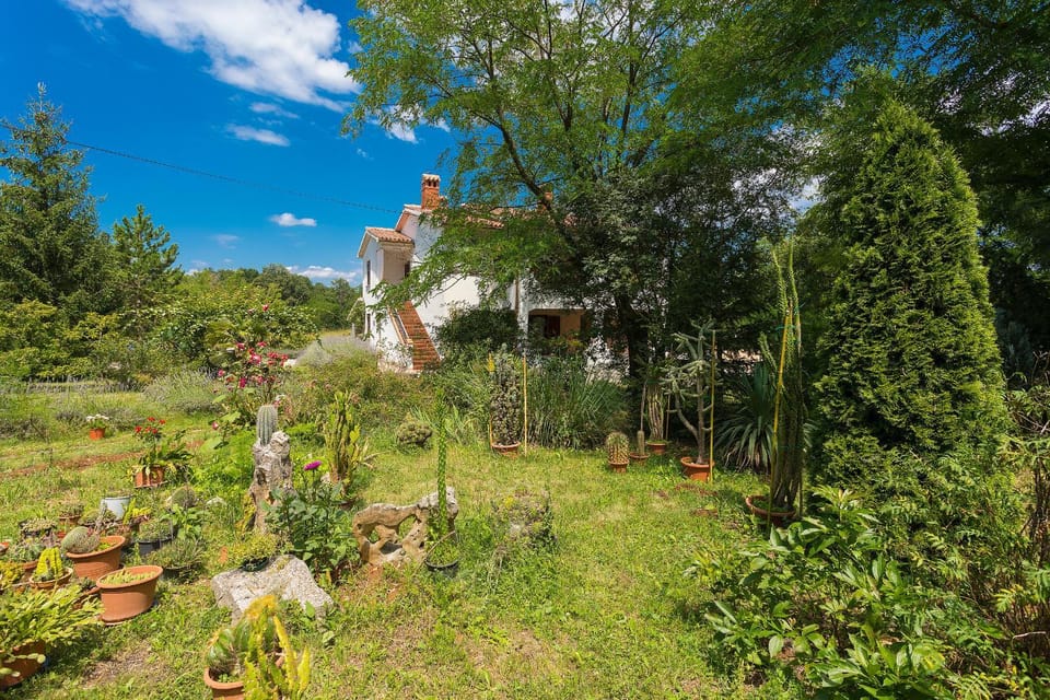 Facade/entrance, Natural landscape, Garden view