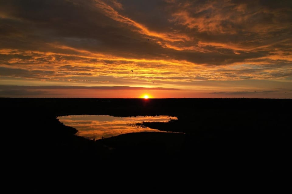 Natural landscape