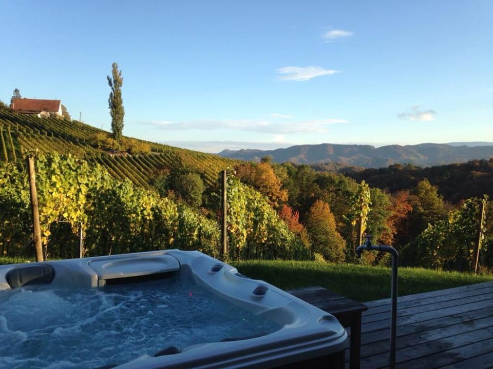 Balcony/Terrace, Pool view