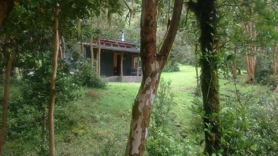 Natural landscape, Mountain view, Entertainment