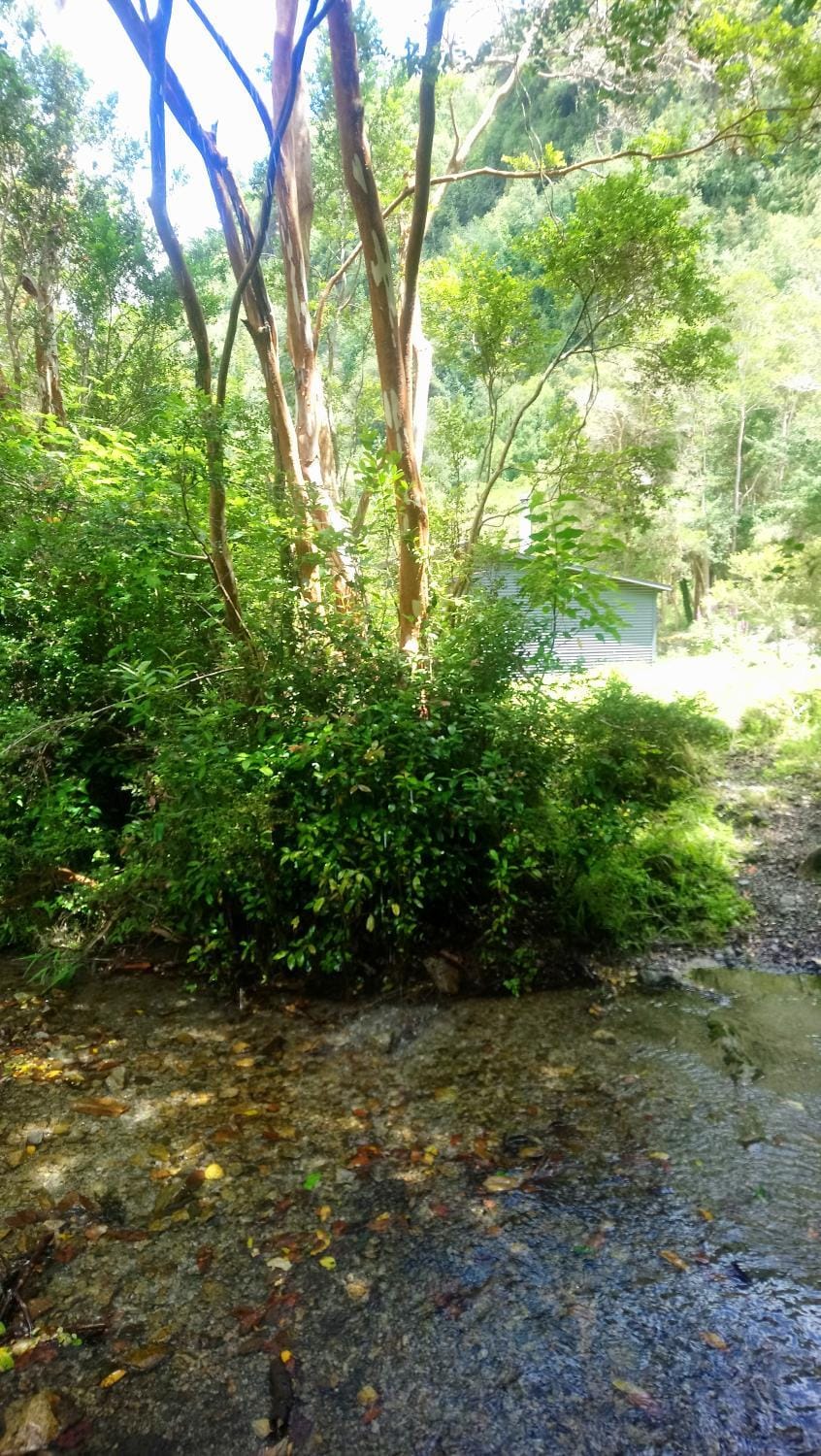 Natural landscape