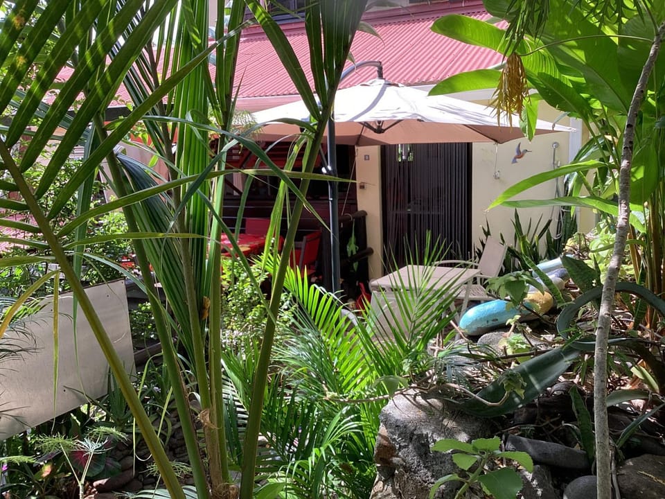 Garden view