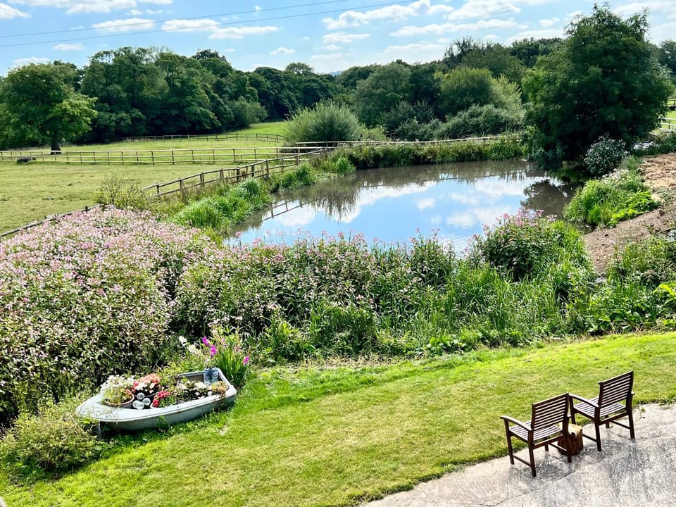 Day, Natural landscape, Garden view, Lake view
