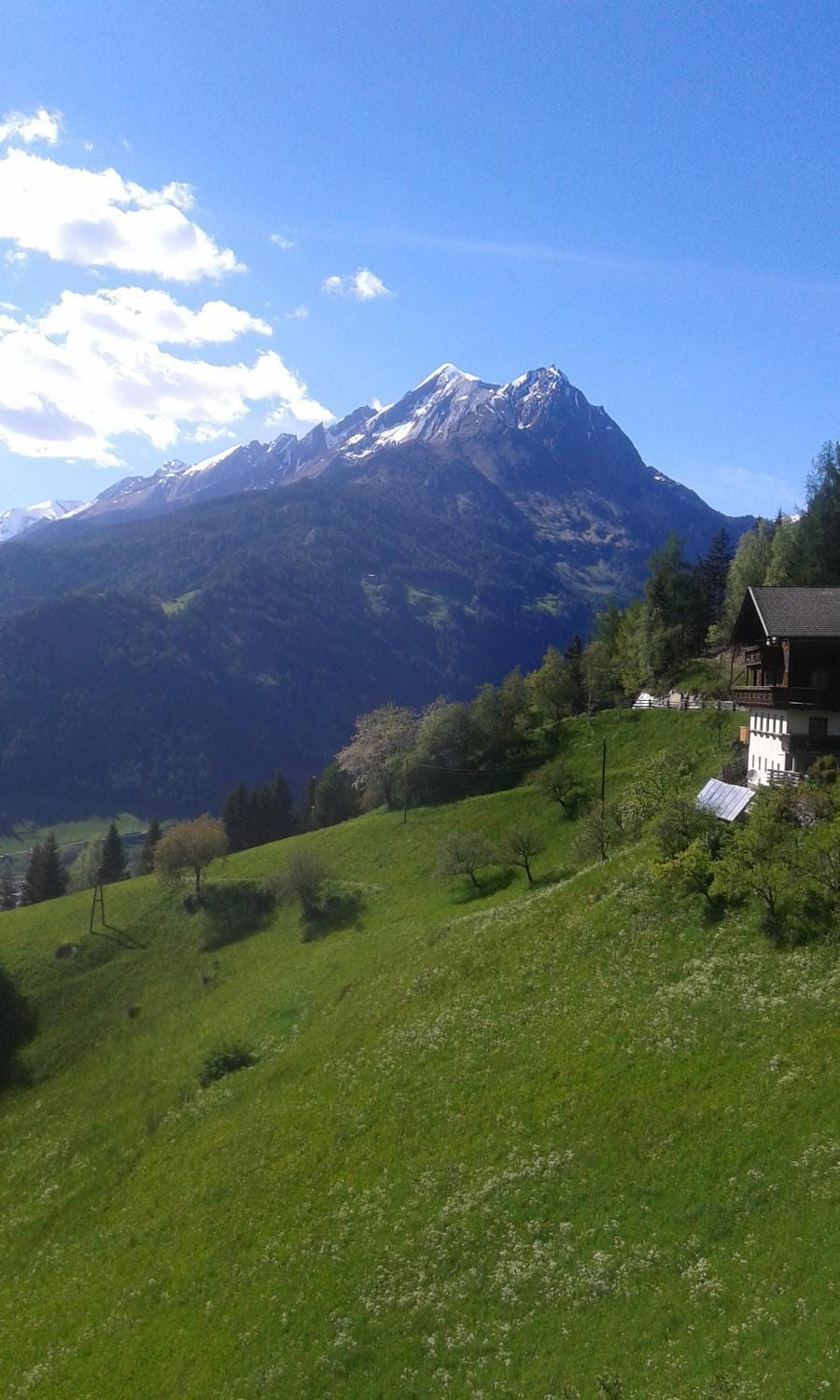 Natural landscape