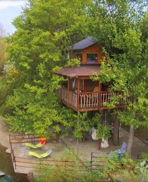 Holiday Home Kućica Na Drvetu House in Serbia
