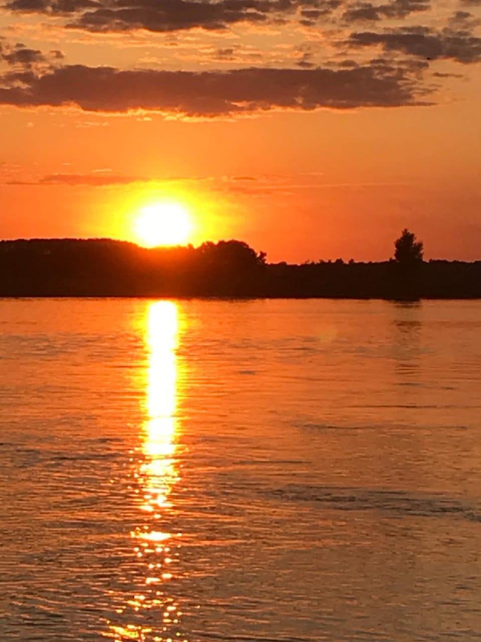 Elbhotel Bleckede am Hafen Hotel in Mecklenburg-Vorpommern, Germany