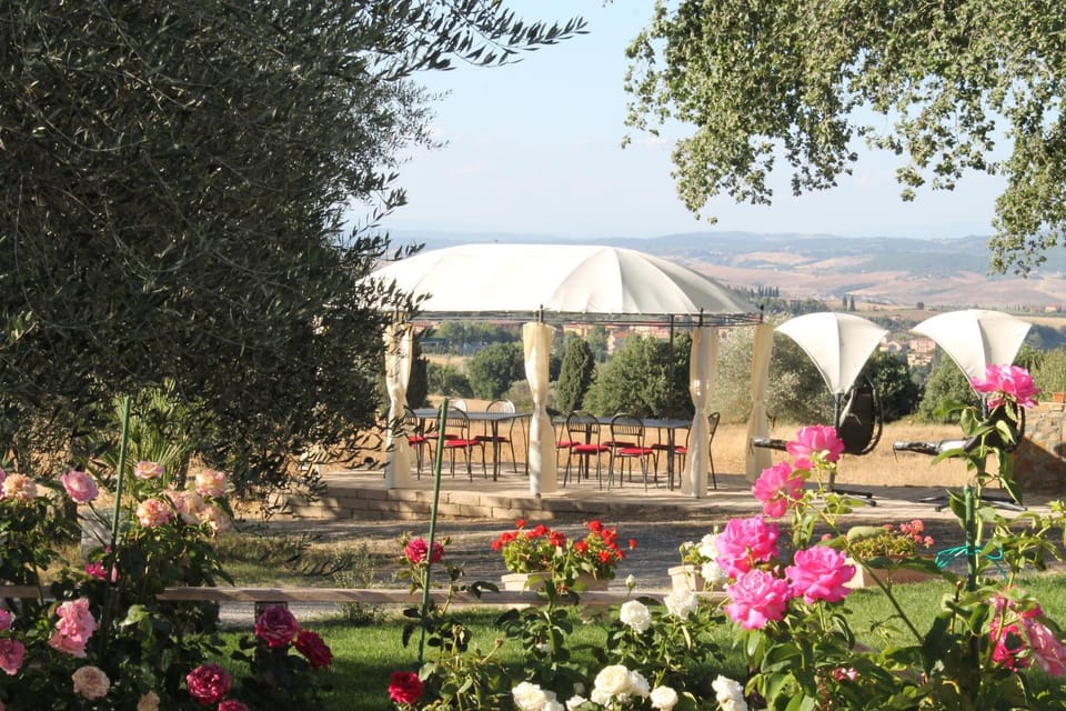 Patio, Landmark view