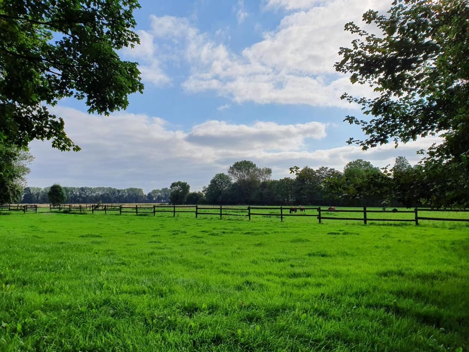 Natural landscape, Garden view