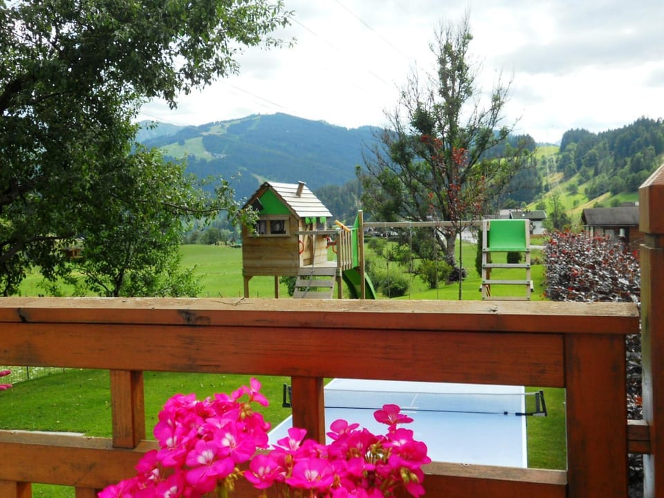 Summer, Garden
