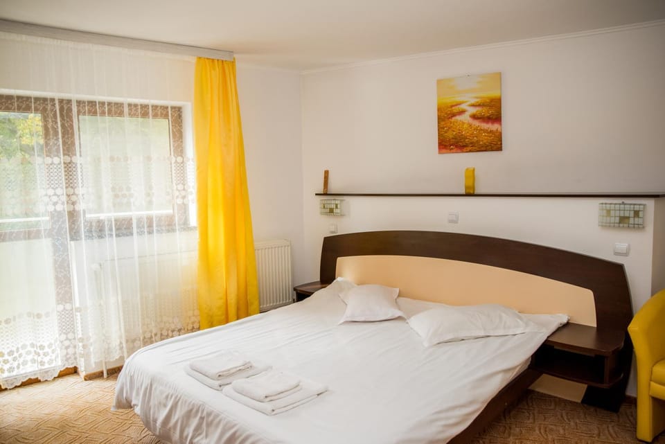 Vila Alegria Bed and Breakfast in Prahova, Romania