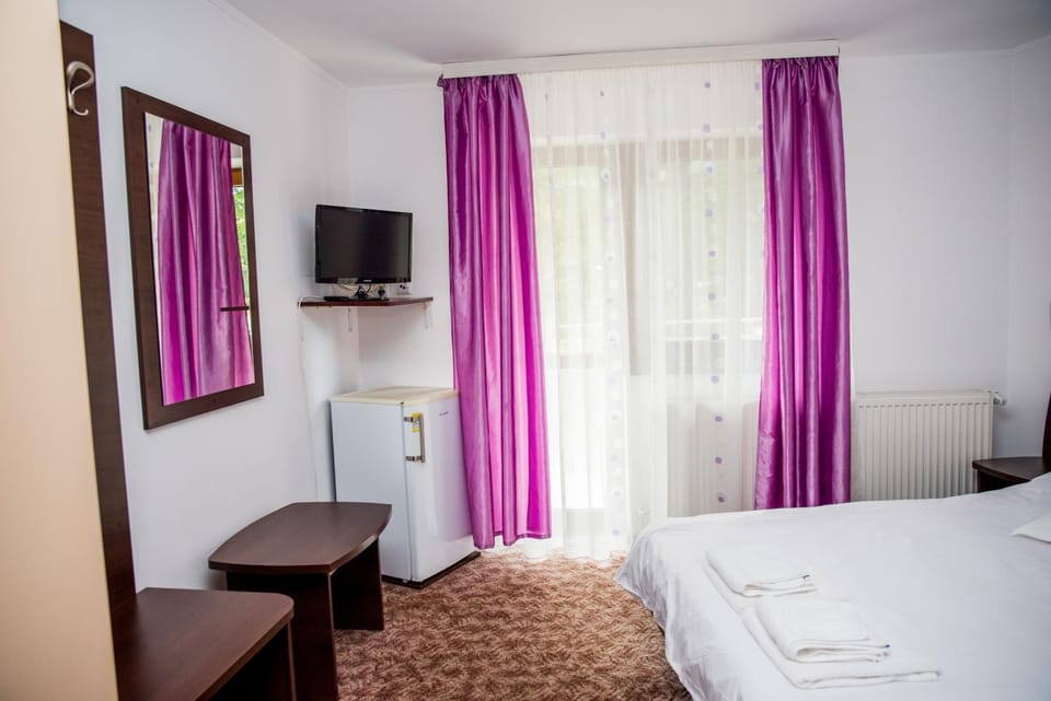 Vila Alegria Bed and Breakfast in Prahova, Romania